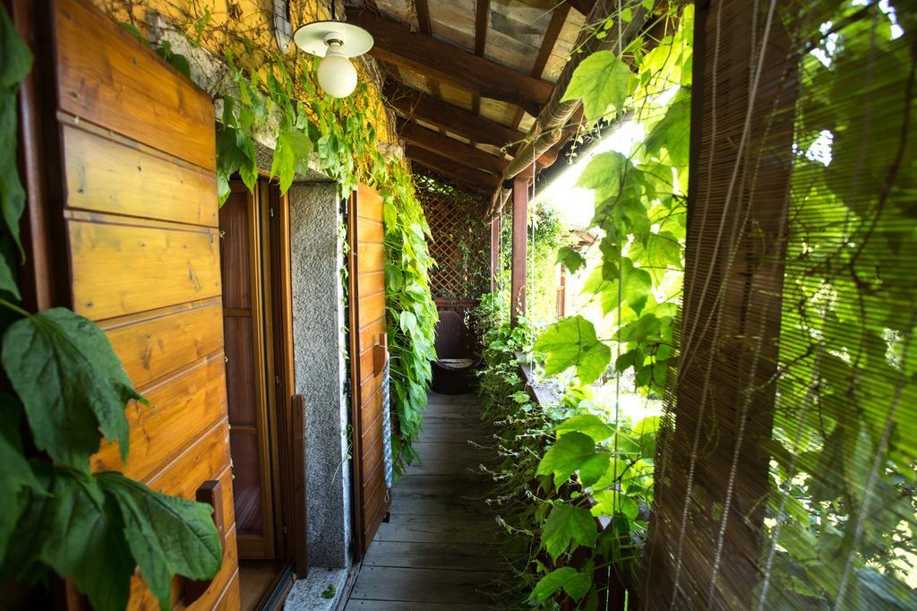 Rozina Vacation House Pliskovica 외부 사진